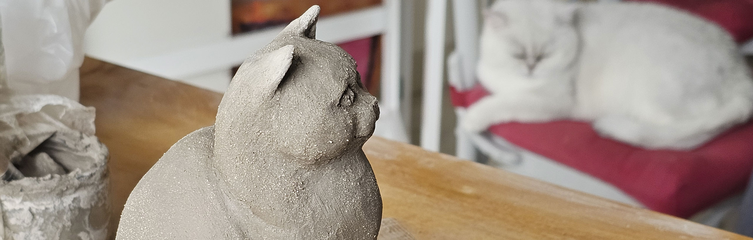 Cours sculpture modelage céramique à La Rochelle - Périgny
